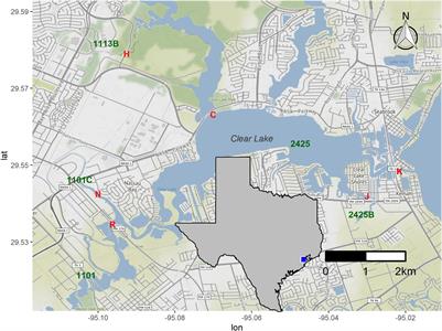 Hurricane Harvey Impacts on Water Quality and Microbial Communities in Houston, TX Waterbodies